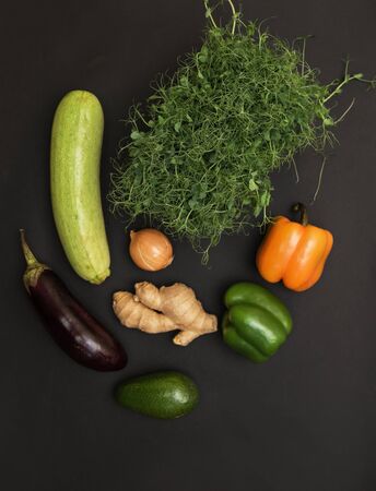 Fresh vegetables and micro greens sprouts on black background. Concept of superfood and healthy organic foodの写真素材