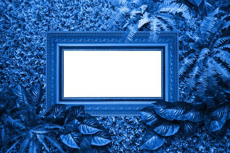 Classic blue color background from leaves and white blank for your design or text. Color of the 2020の写真素材