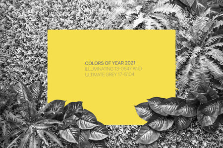 Ultimate Gray and Illuminating color background from leaves and blank for your design or text. Color...