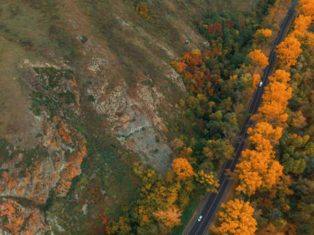 Aerial view of road in beautiful autumn Altai forest