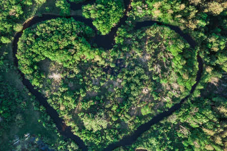 It is summertimeの写真素材