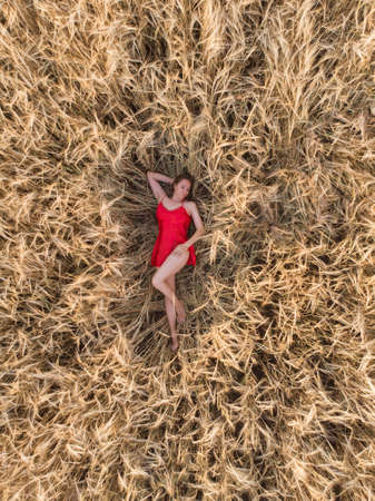 Aerial view of woman in red dress lying in the field of wheatの写真素材