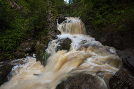 Waterfall in green forest