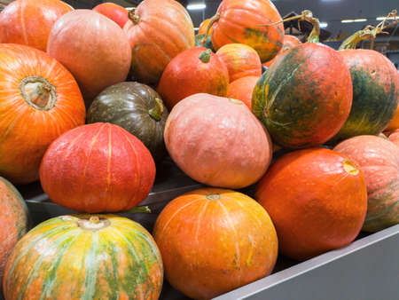 Orange pumpkins at farmer marketの写真素材