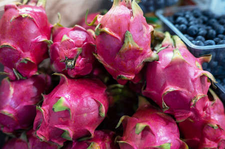 Assortment of exotic dragon fruitの写真素材