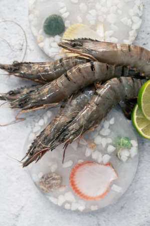Raw shrimps on decorated iceの写真素材