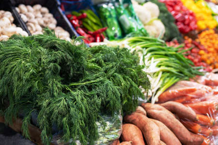 Assortment of fresh vegetablesの写真素材