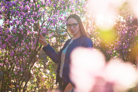 Blooming of Rhododendron flowers