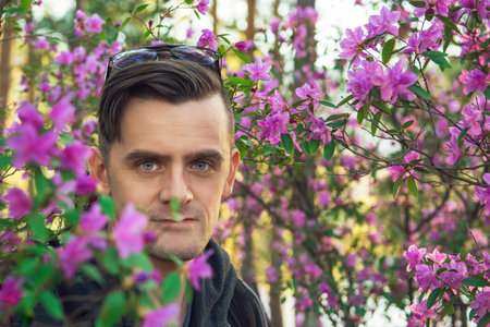 Blooming of Rhododendron flowersの写真素材