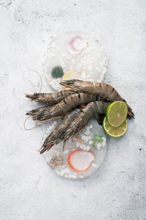 Raw shrimps on decorated iceの写真素材