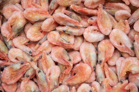 Frozen shrimp in fridge at the fish market.の写真素材