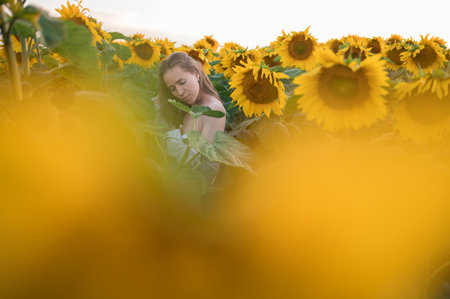 Portrait of beautiful woman posing in field with sunflowers, enjoying nature and summer.の写真素材