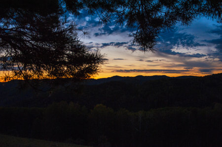 A minute before sunrise in Altai taigaの写真素材