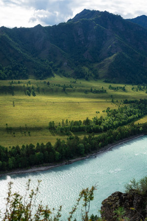 Beautiful view of mountain river Katun and green valley in summer,Altai Mountainsの写真素材