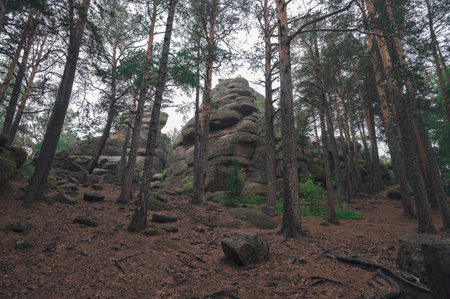 Taiga forest and rocks of the Stolby nature reserve park, Krasnoyarsk, Russiaの写真素材