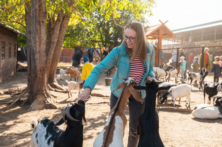 A woman interacts with friendly goats at an animal farm, feeding them treats on a sunny day, enjoying a farm experience.の写真素材