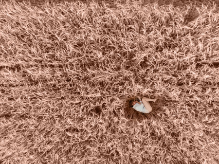 Aerial view of woman lying in the field of wheat.の写真素材