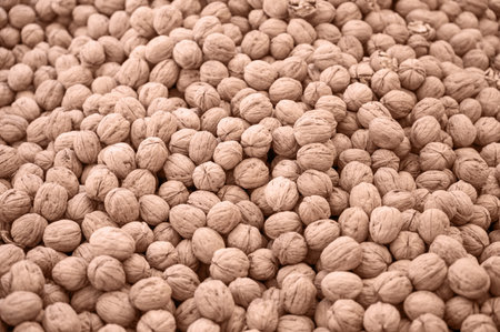 Walnut sale in the traditional farm Turkish market, a counter filled with fresh fruitsの写真素材