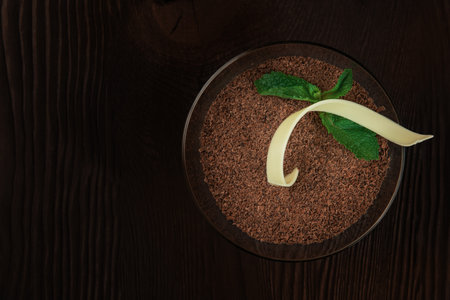 Delicious Italian dessert tiramisu, on a black wooden background decorated with mint leaf. Colored in Mocha mousse colorの写真素材