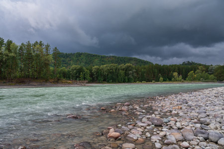 Fast mountain river Katun in Altay, Siberia, Russia. Cloudy skies before the rainの写真素材