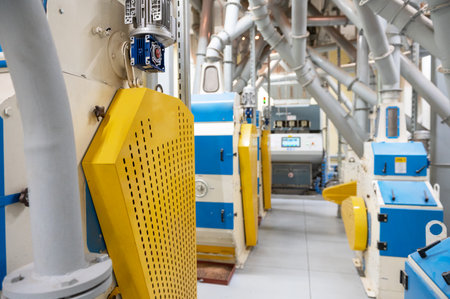 Roller deck machines for husking buckwheat grain, operating in a modern processing facility.の写真素材