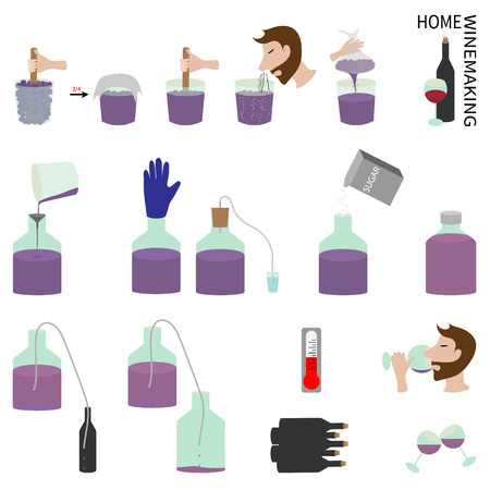 Set elements of infographics on the topic Home winemaking.のイラスト素材