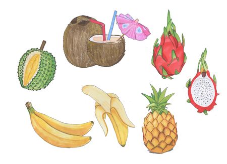 Set of tropical fruits, marker style.の写真素材