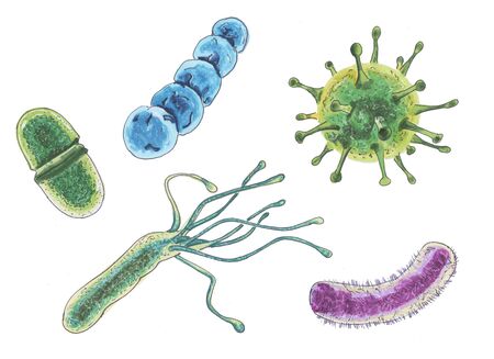 Set of atoms and molecules, viruses, marker style.