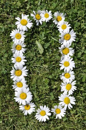 letter of daisiesの写真素材