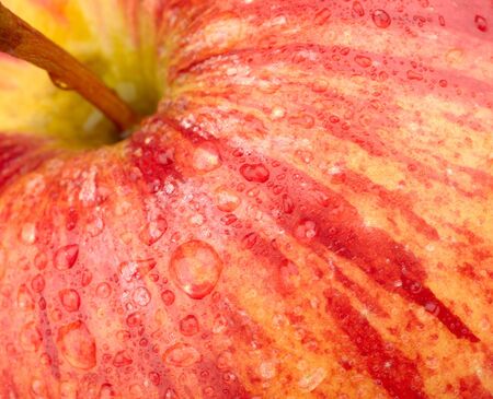 background of a red apple with water dropsの写真素材