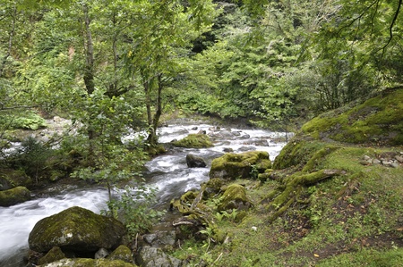 mountain river, landscapesの写真素材
