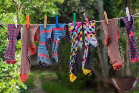 Assortment of colorful socks hanging on washing lineの写真素材