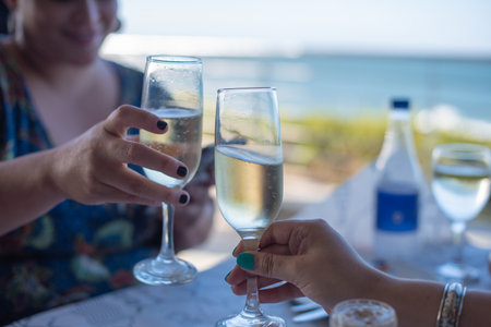 two woman making a toast during a celebrationの写真素材
