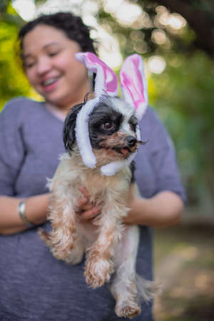 Portrait of woman with cute pet wearing bunny ears