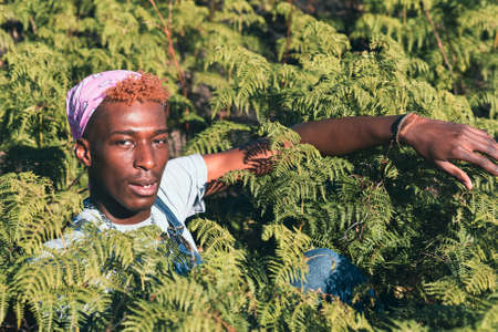 Portrait of young man sitting between plantsの写真素材
