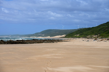 Landscape shot of beach with wind turbines in distance