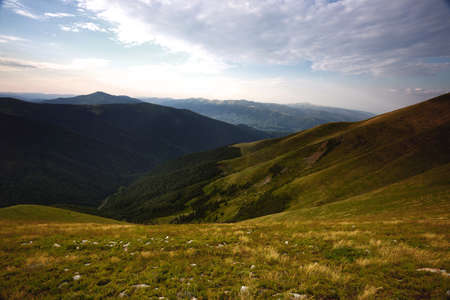 summer landscape