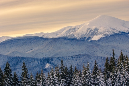 beautiful winter landscapeの写真素材