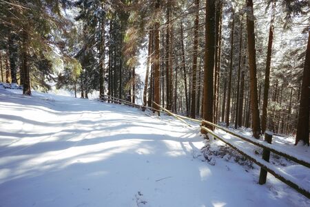 beautiful winter landscapeの写真素材