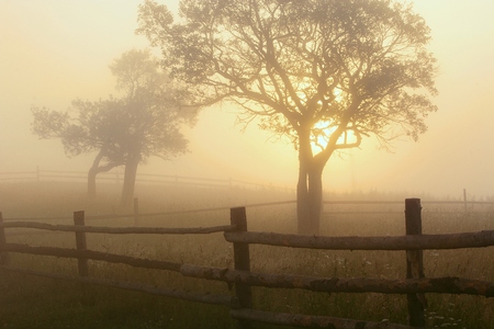 beautiful summer landscape in Europeの写真素材