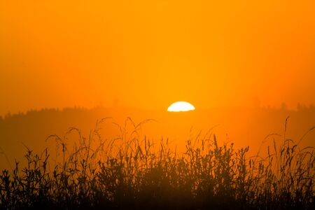 beautiful summer landscape  in Europeの写真素材