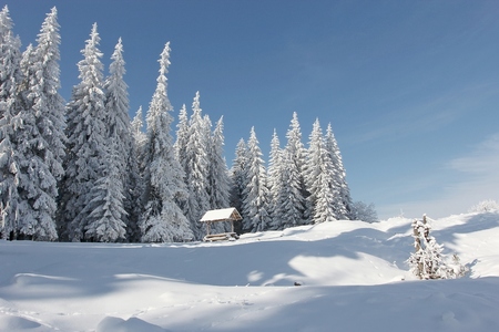 winter Carpathian landscapeの写真素材