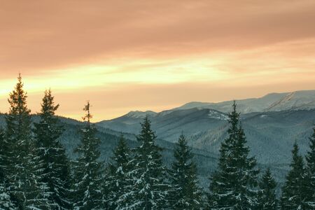 winter Carpathian landscapeの写真素材