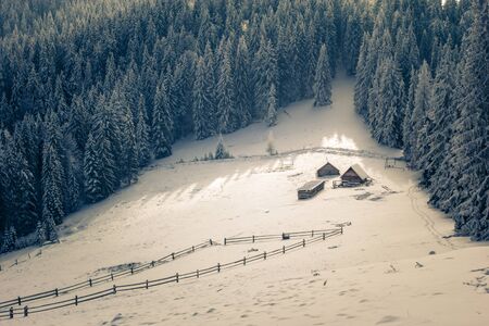 winter Carpathian landscapeの写真素材