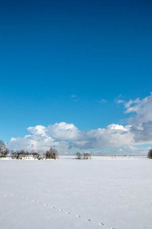 Snowy fields on a sunny dayの写真素材