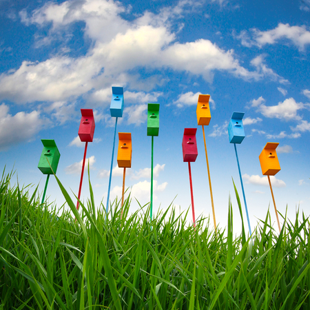 Nine colorful bird houses on a long mast in the sky and green grass backgroundの写真素材