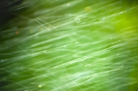 Abstract green background with stripes drops