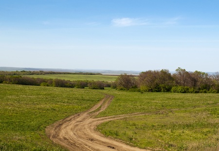 Country road running through fieldの写真素材