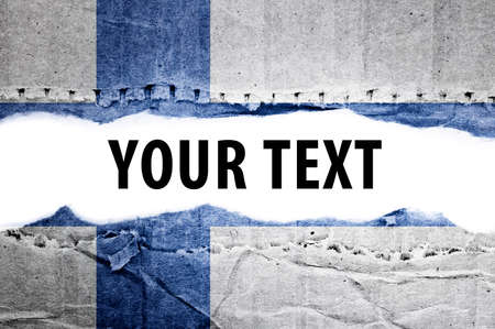 Flag  Text space の写真素材