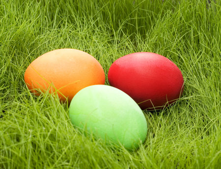  colored easter eggs in grass